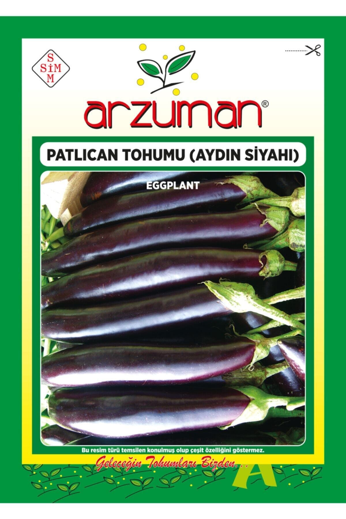 Patlıcan Tohumu(Aydın Siyahı)