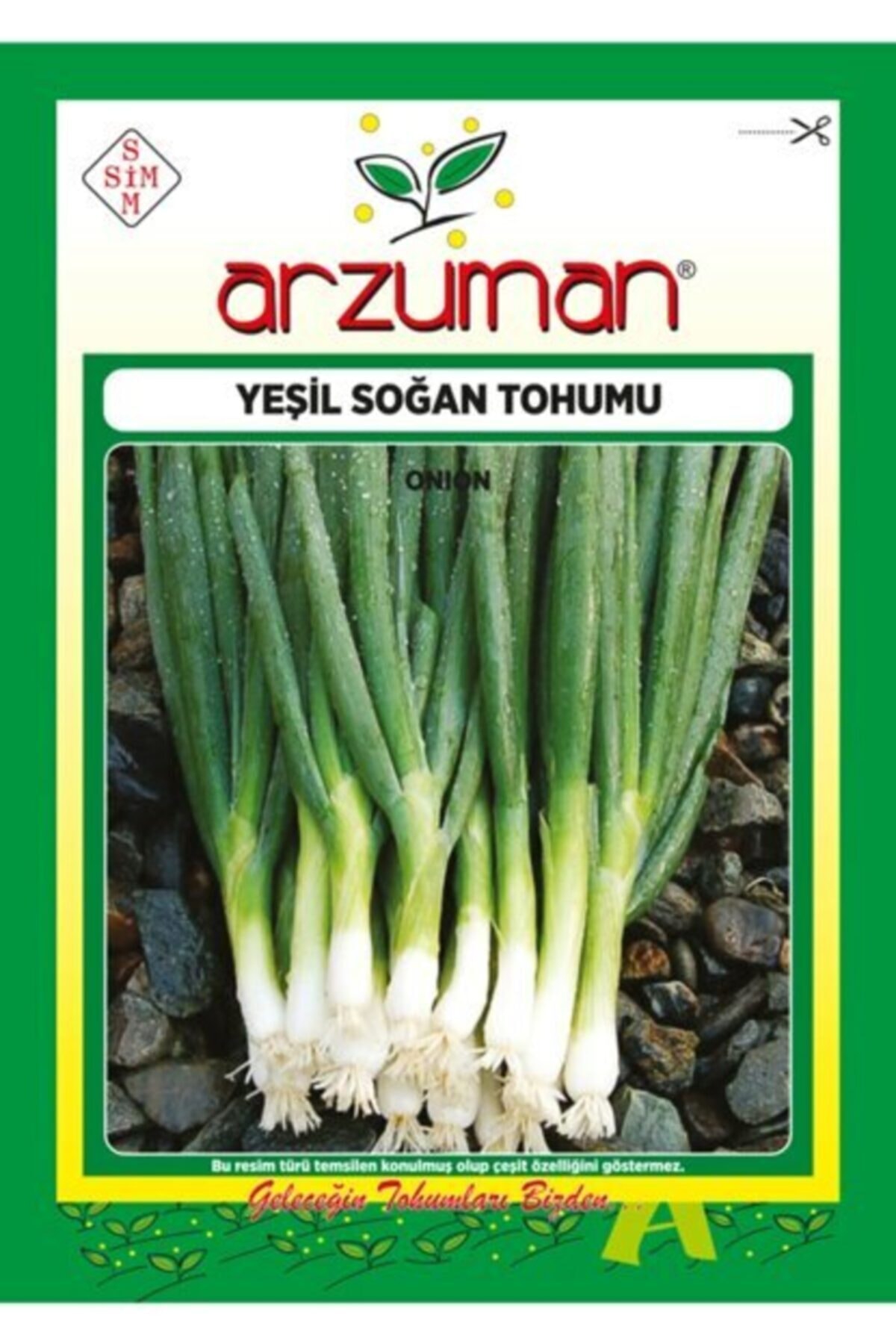 Yeşil Soğan Tohumu