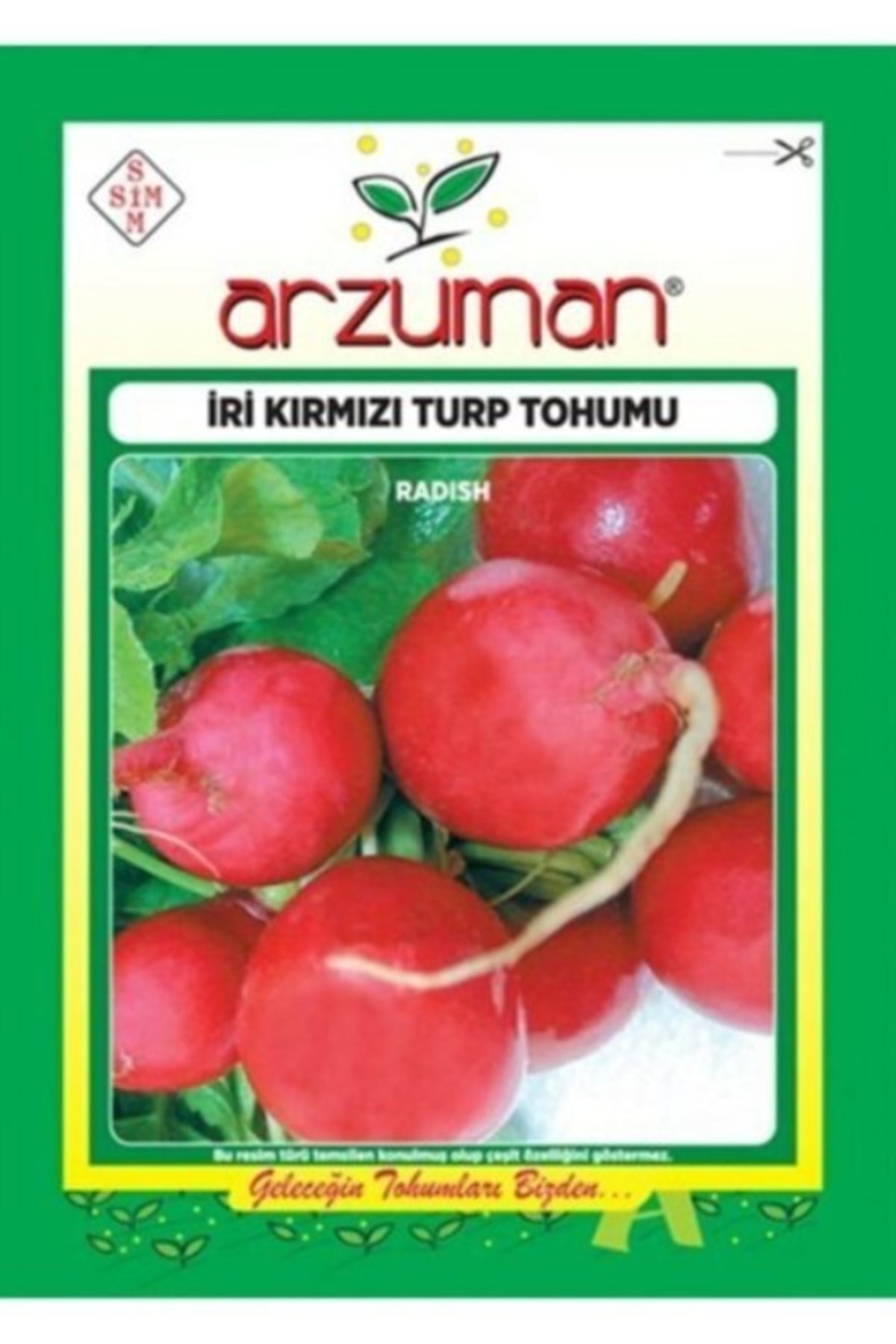 İri Kırmızı Turp Tohumu