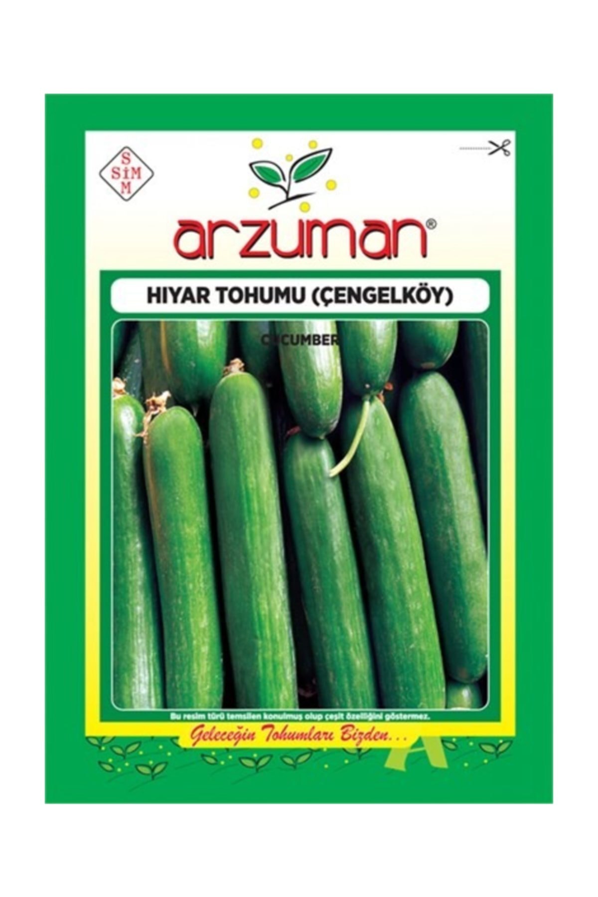 Hıyar Tohumu (Çengel Köy)