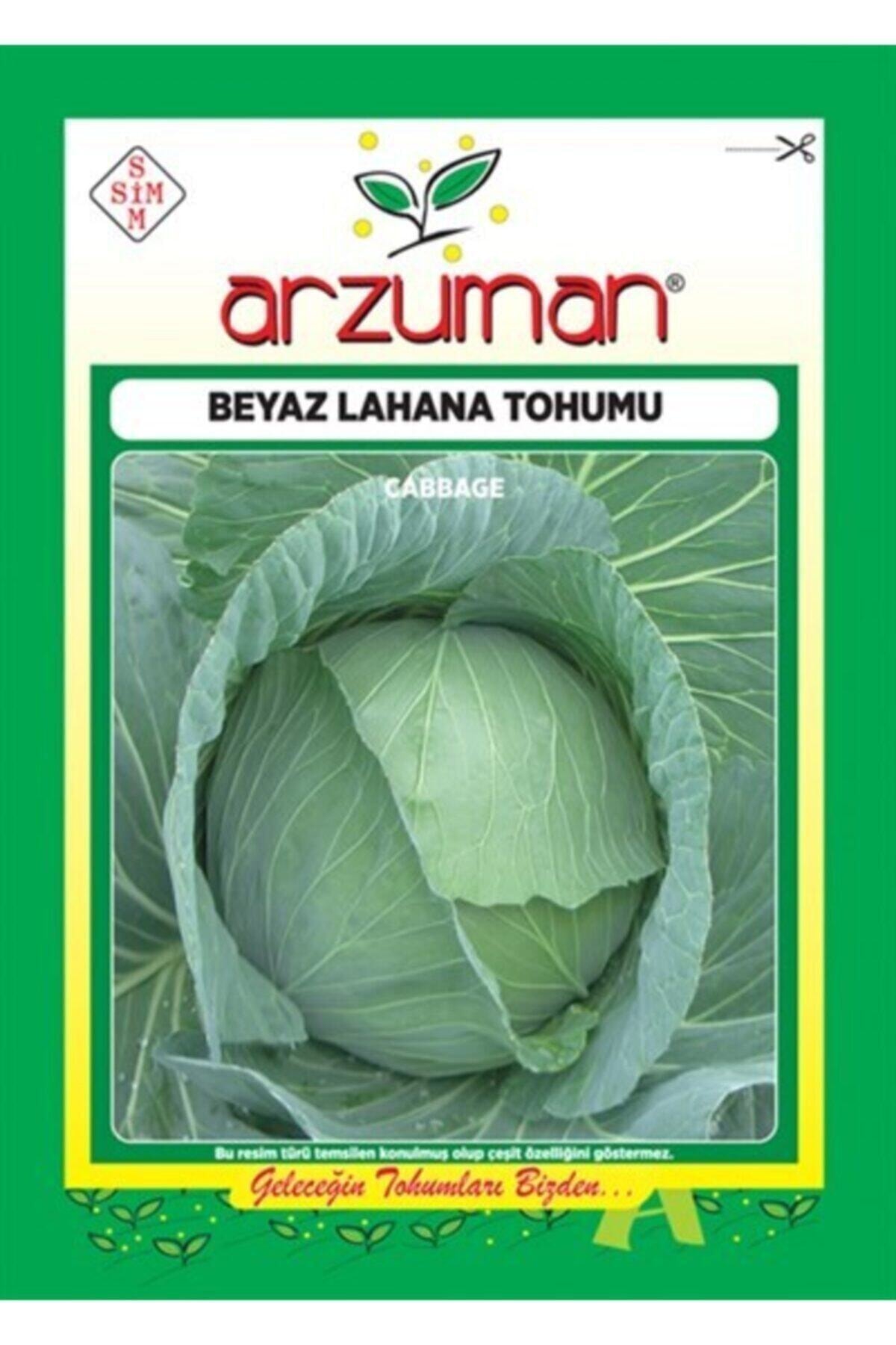 Beyaz Lahana Tohumu