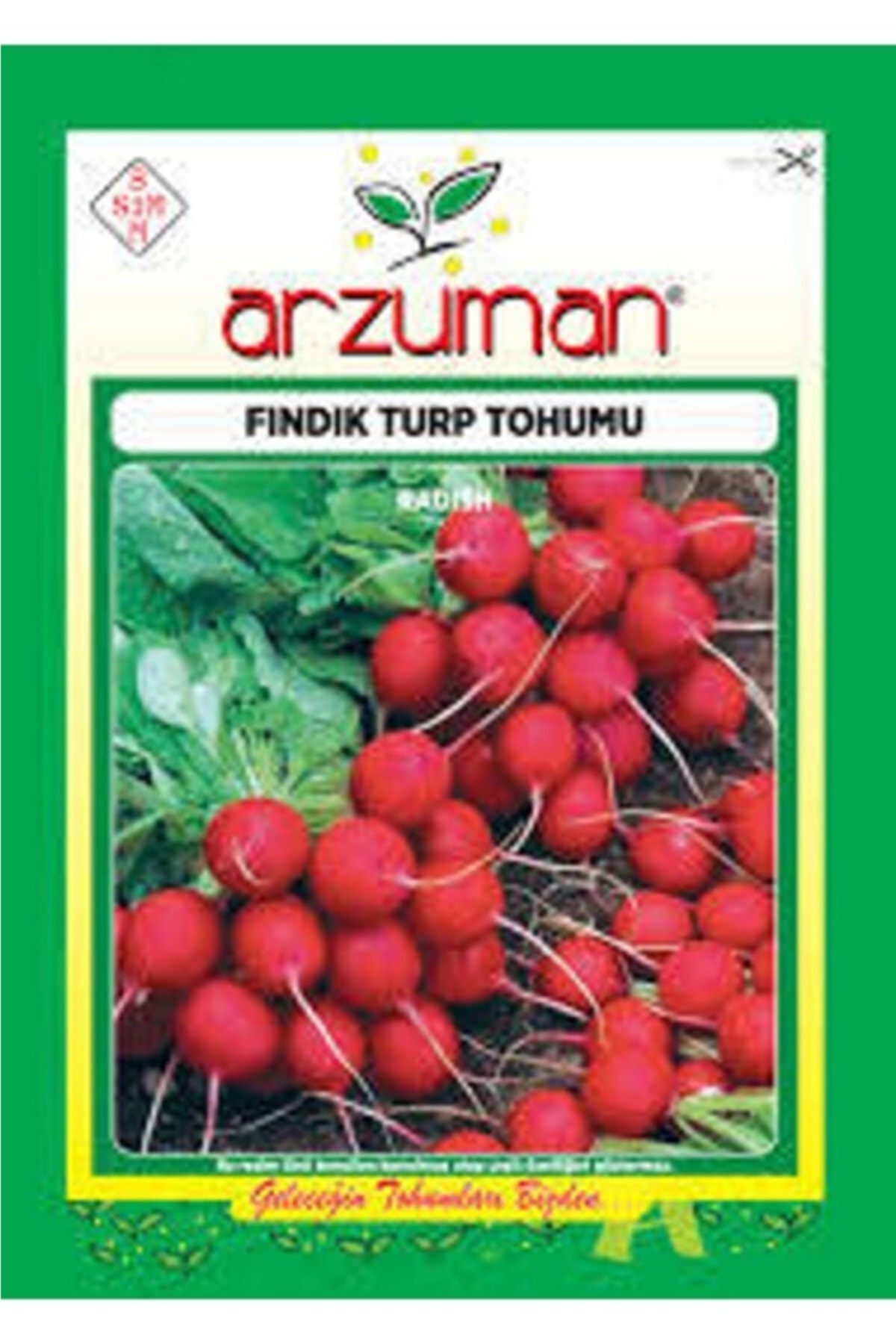 Fındık Turp Tohumu